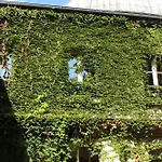 Saint Sulpice * Paris