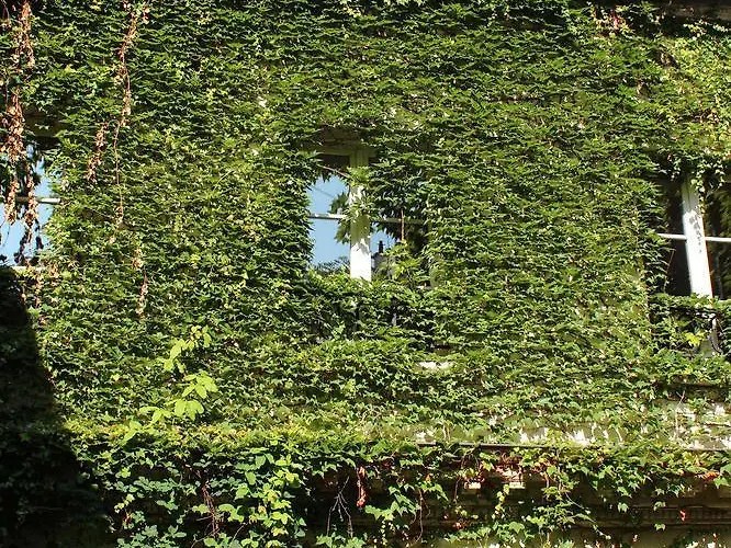 Saint Sulpice * パリ